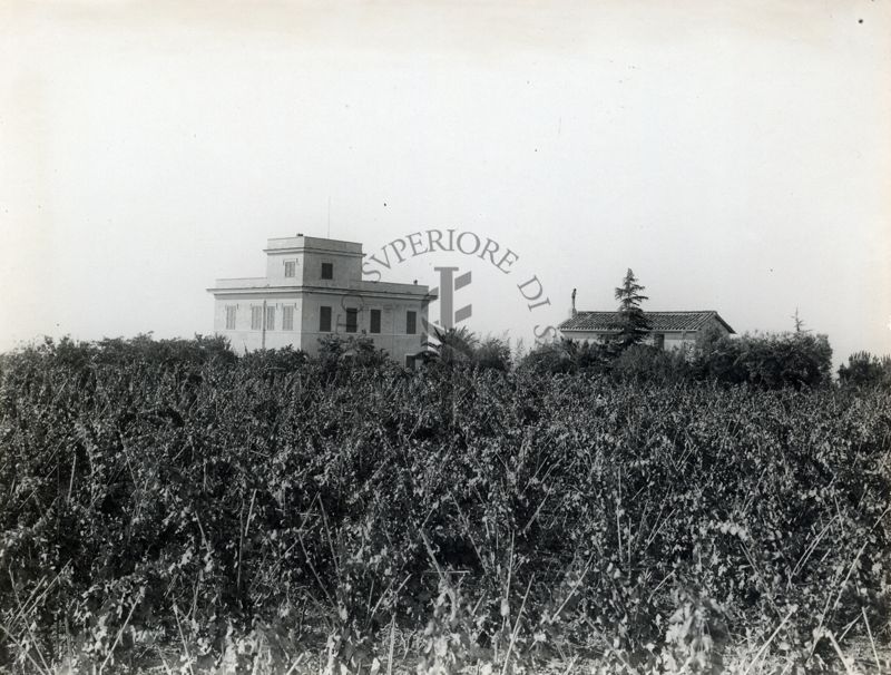 Colonia agricola bambini malarici del Lazio (Grottaferrata): veduta d'insieme