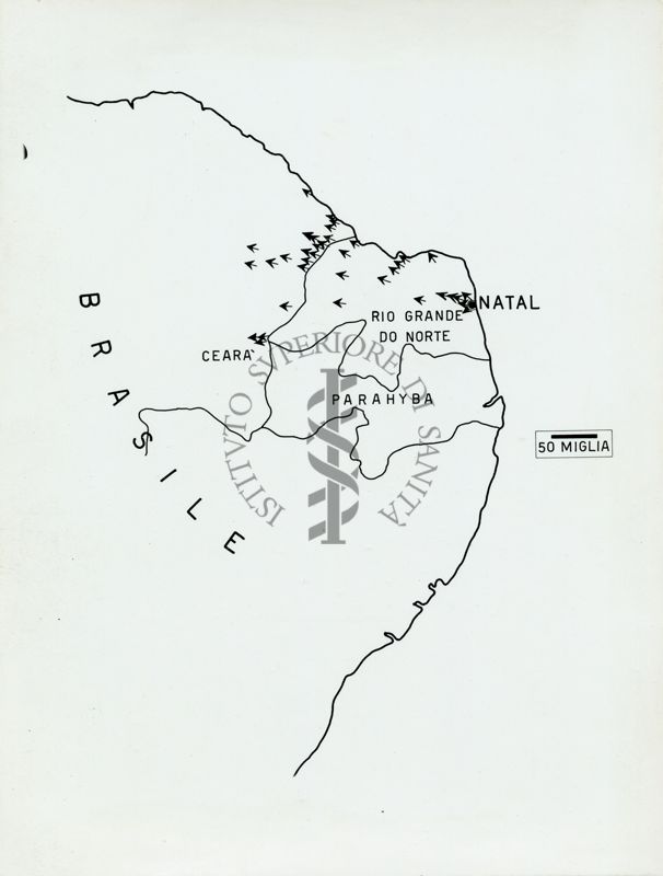 Grafico raffigurante l'invasione del Brasile da parte delle Anofele gambiae