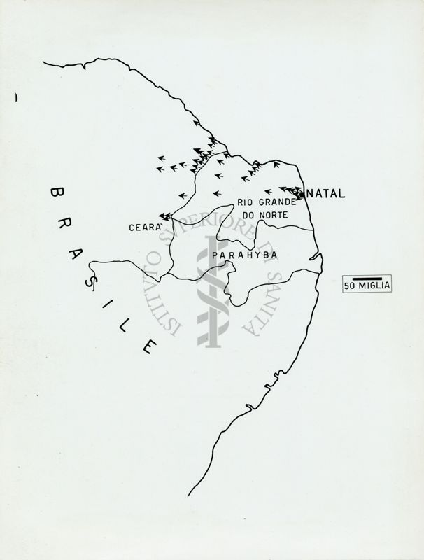 Grafico raffigurante l'invasione del Brasile da parte delle Anofele gambiae