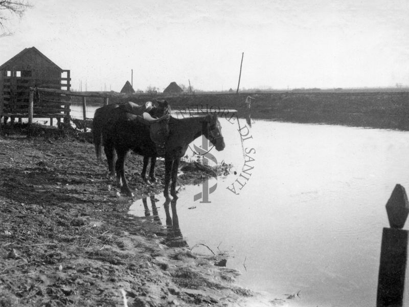 Porcili a scopo antimalarico lungo un canale