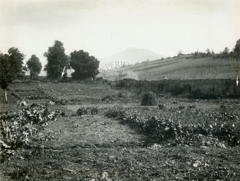 Terreno dove si doveva costruire il grande sanatorio antimalarico del Lazio