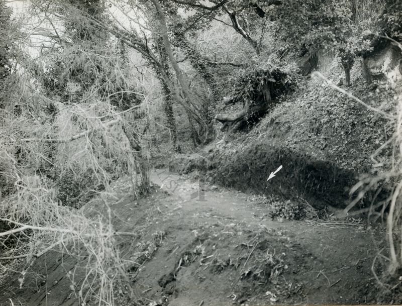 Terreno dove si doveva costruire il grande sanatorio antimalarico del Lazio