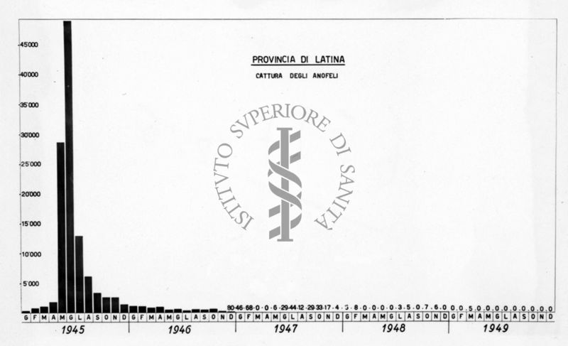 Istogramma relativo la cattura mensile degli anofeli nella provincia di Latina nel quinquennio 1945-1949