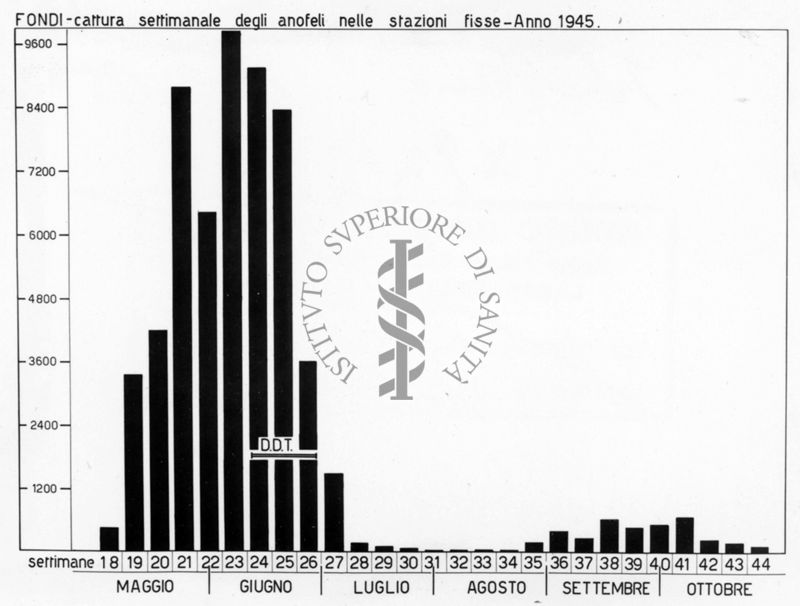 Diagramma riguardante la cattura settimanale degli anofeli nelle stazioni fisse - anno 1945