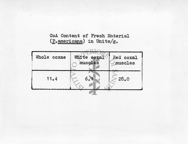 Tabella riguardante la concentrazione di Coenzima A (CoA) nel muscolo delle Coxae di Periplaneta di una Blatta americana