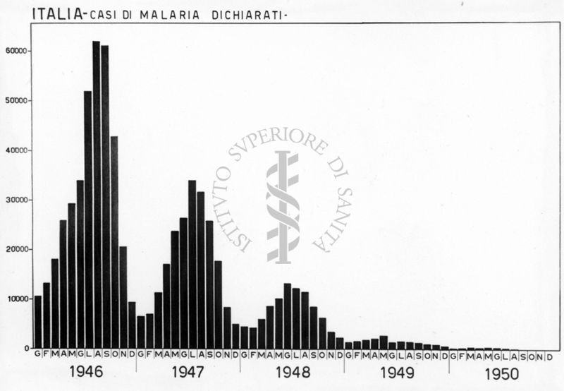 Diagramma riguardante i casi di Malaria dichiarati