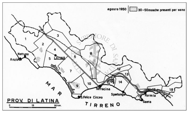 Cartogramma della zona di Latina riguardante la quantità delle mosche resistenti al DDT nell'agosto 1950