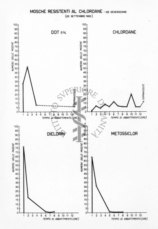 Diagrammi comparativi riguardanti la resistenza delle mosche al Chlordane (VII generazione) al DDT 5%, al Dieldrin e al Metossiclor il 22 settembre 1950