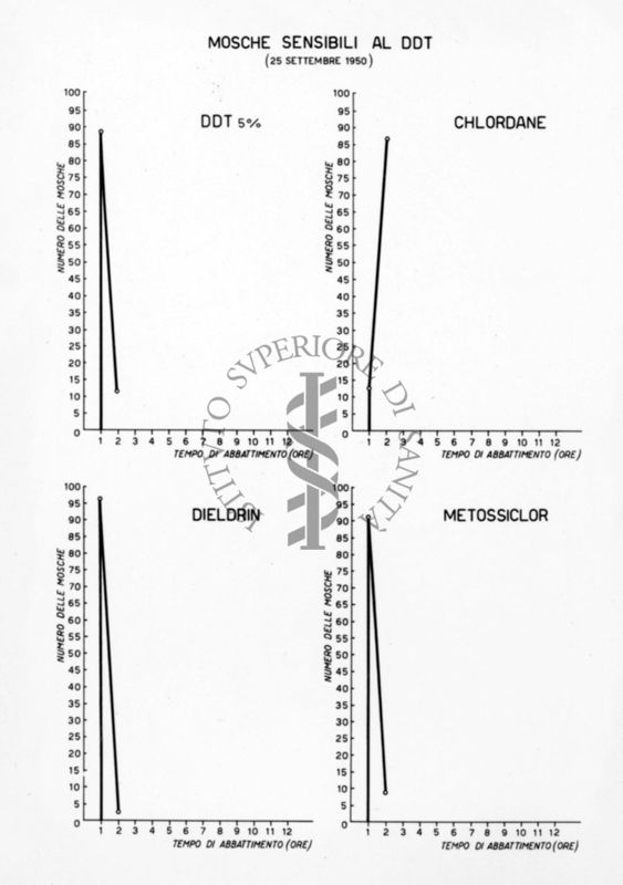 Diagrammi comparativi riguardanti la sensibilità delle mosche al DDT 5%, al Chlordane, al Dieldrin e al Metossiclor il 25 settembre 1950