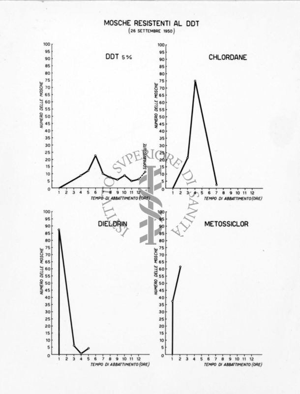 Diagrammi comparativi riguardanti la resistenza delle mosche al DDT 5%, al Chlordane, al Dieldrin e al Metossiclor il 26 settembre 1950