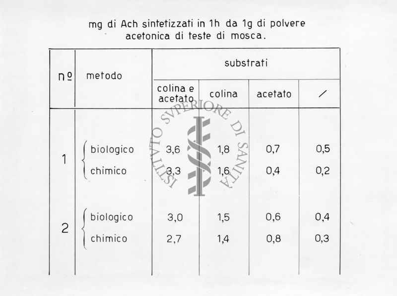 Sintesi di acetilcolina nella testa di musca domestica