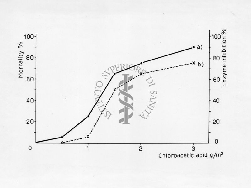 Rapporto fra percentuale mortalità e percentuale inibizione T.P. Dasica in musca domestica a contatto con acido cloroacetico