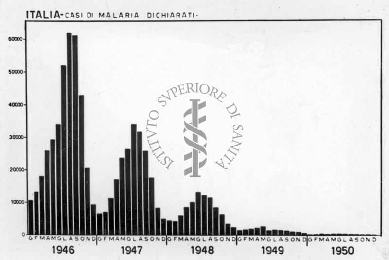 Diagramma riguardante i casi di Malaria dichiarati in Italia dal 1946 al 1950