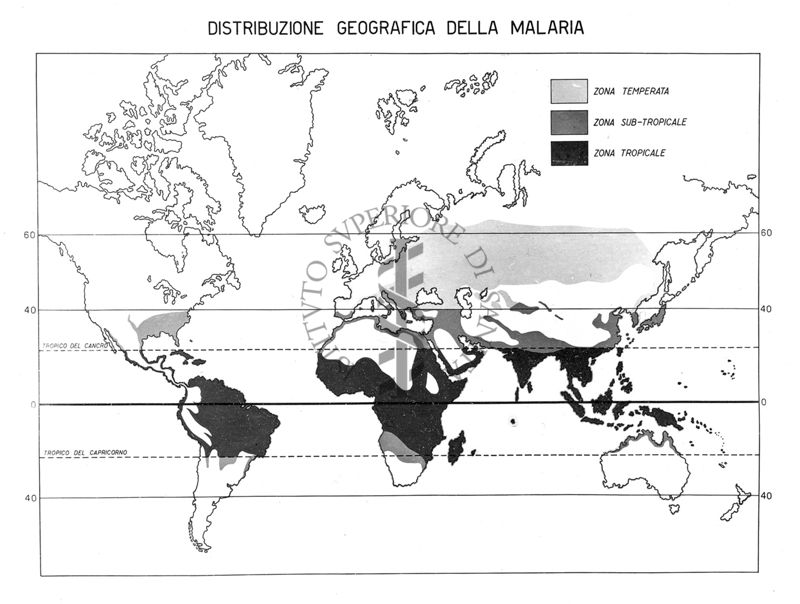 Cartogramma riguardante la distribuzione geografica della Malaria nel mondo divisa per zone climatiche