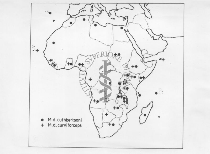 Distribuzione delle subspecie di Musca Domestica