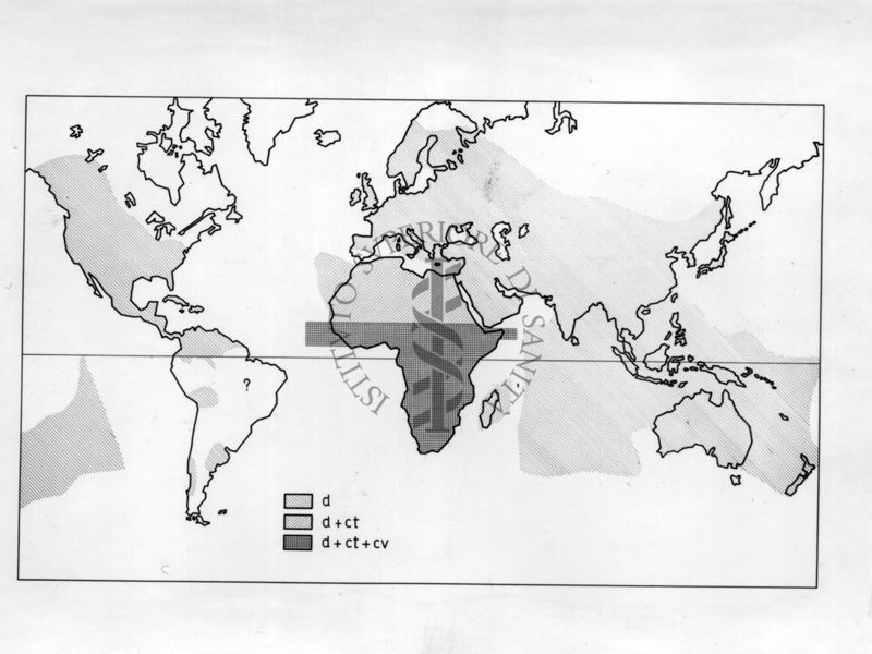 Distribuzione delle subspecie di Musca Domestica