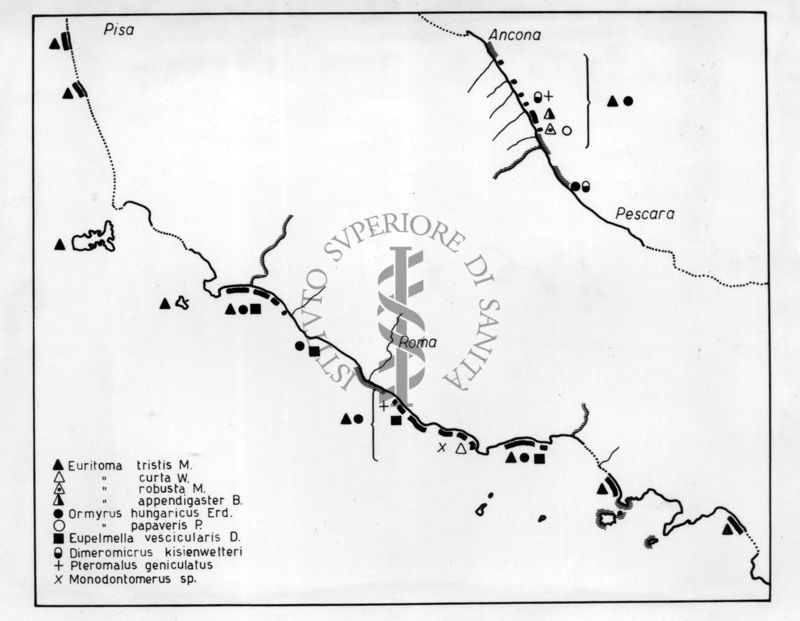 Distribuzione nell'Italia centrale dei parassiti di Trithemis Stictica