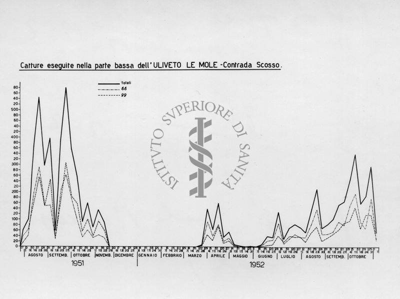 Diagramma relativo le catture nella parte bassa dell' "Uliveto le Mole" Contrada Scosso nel periodo da agosto 1951 a ottobre 1952