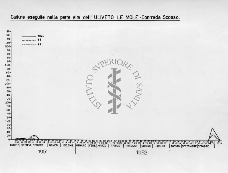 Diagramma relativo le catture nella parte alta dell' "Uliveto le Mole" Contrada Scosso nel periodo da agosto 1951 a ottobre 1952