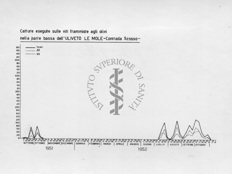 Diagramma relativo le catture eseguite sulle viti frammiste agli olivi nella parte bassa dell' "Uliveto le Mole" Contrada Scosso nel periodo da settembre 1951 a ottobre 1952