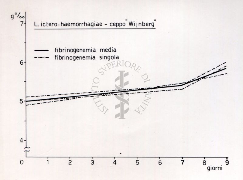 Comportamento del tasso fibrinogenemico in animali infettati con leptospirosi.