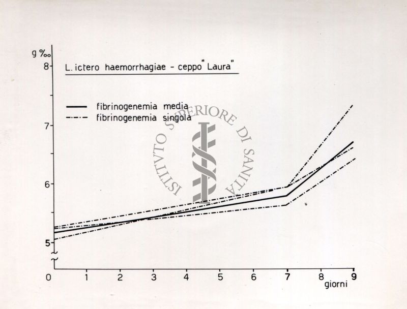 Comportamento del tasso fibrinogenemico in animali infettati con leptospirosi.