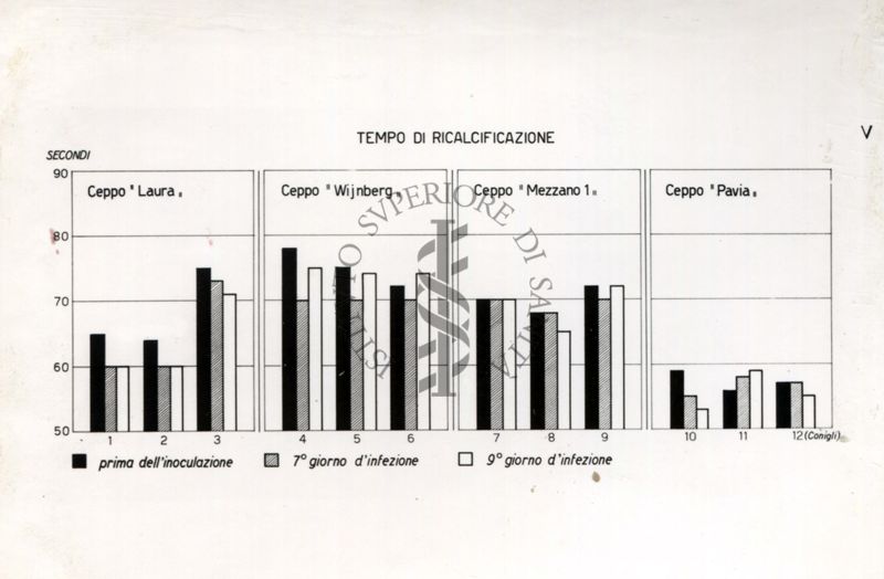 Tasso fibrinogenemico e le attività fibrinogenolitiche in rapporto con i fenomeni emorragici di conigli infettati con leptospire.