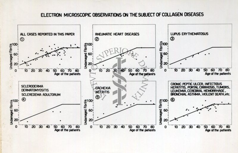 Osservazioni di microscopia elettronica sulle malattie del Collageno