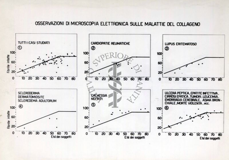 Osservazioni di microscopia elettronica sulle malattie del Collageno