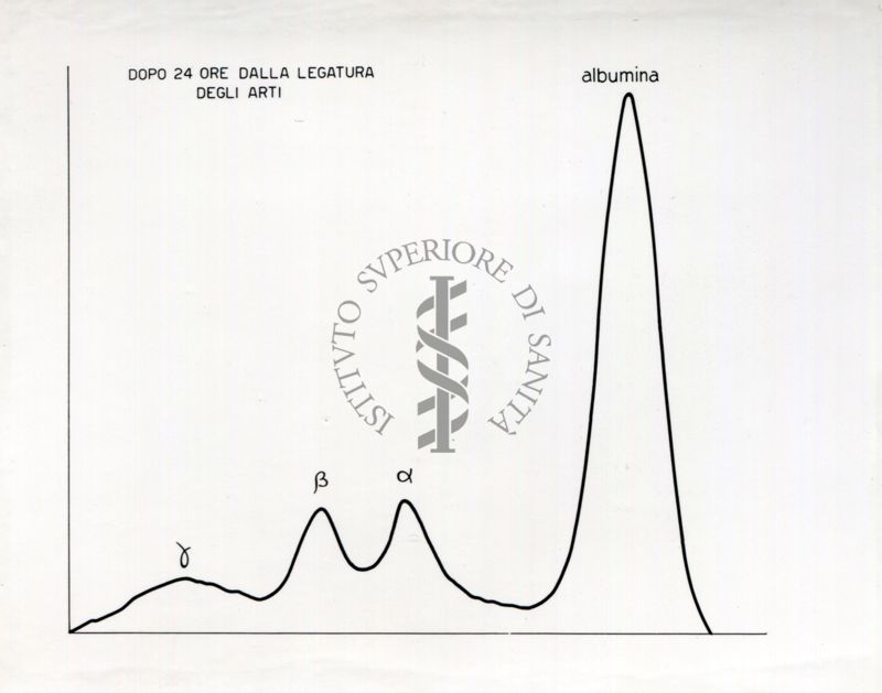 Curve riguardanti il comportamento delle sieroproteine negli animali sottoposti a stress sperimentale.