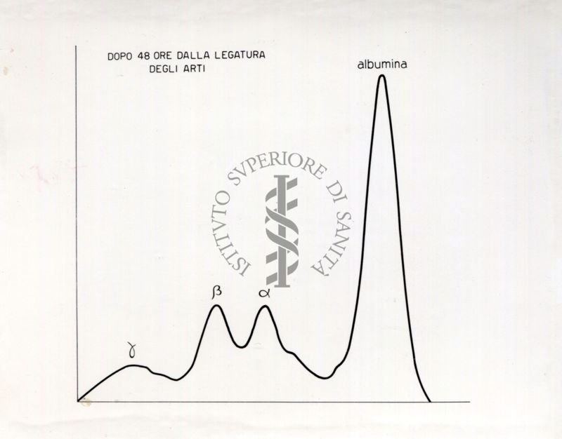 Curve riguardanti il comportamento delle sieroproteine negli animali sottoposti a stress sperimentale.