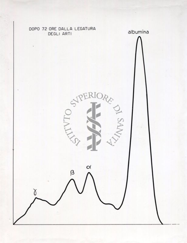 Curve riguardanti il comportamento delle sieroproteine negli animali sottoposti a stress sperimentale.