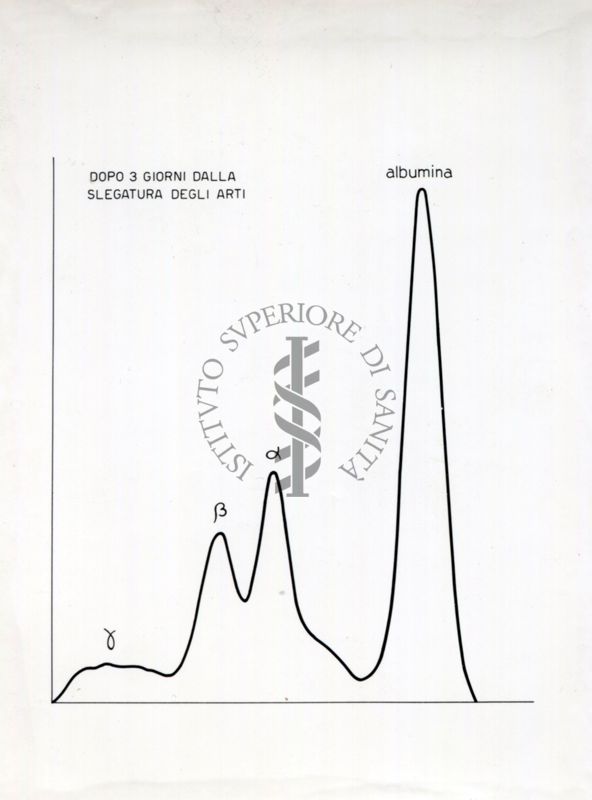 Curve riguardanti il comportamento delle sieroproteine negli animali sottoposti a stress sperimentale.