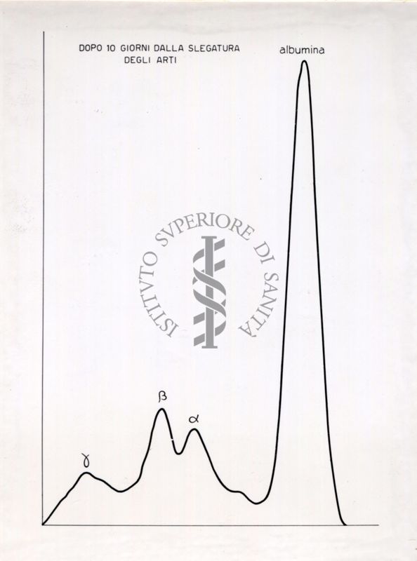 Curve riguardanti il comportamento delle sieroproteine negli animali sottoposti a stress sperimentale.