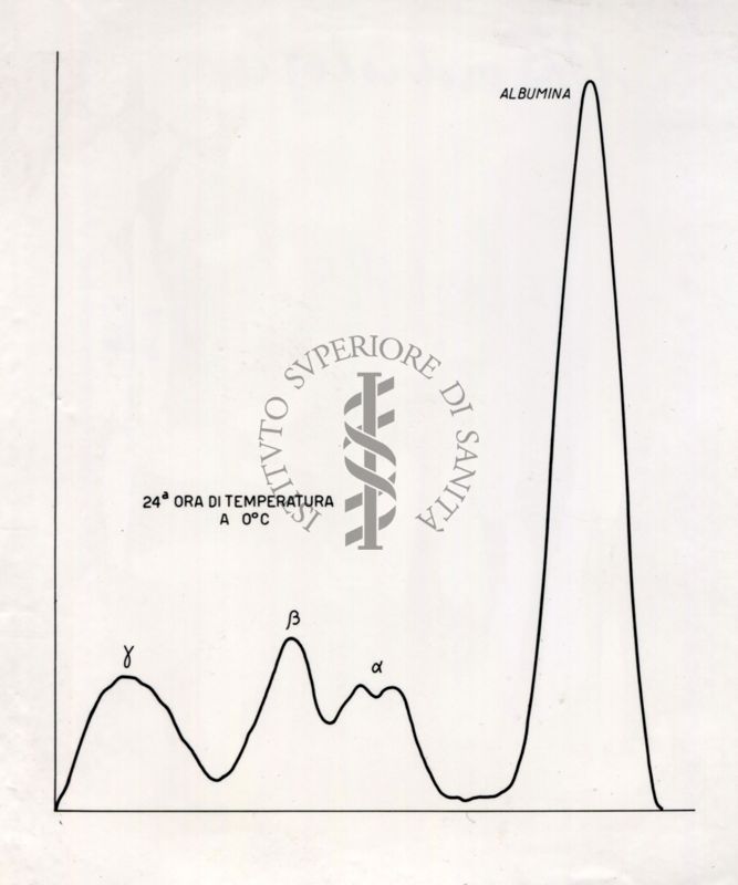 Grafico riguardante l'agglutinazione con siero attivo e siero non attivo