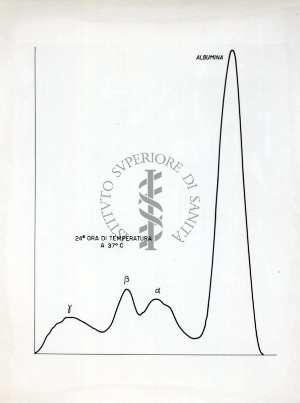 Grafico riguardante l'agglutinazione con siero attivo e siero non attivo