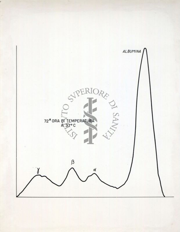 Grafico riguardante l'agglutinazione con siero attivo e siero non attivo