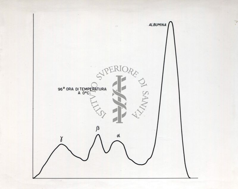 Grafico riguardante l'agglutinazione con siero attivo e siero non attivo