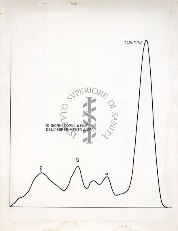 Grafico riguardante l'agglutinazione con siero attivo e siero non attivo