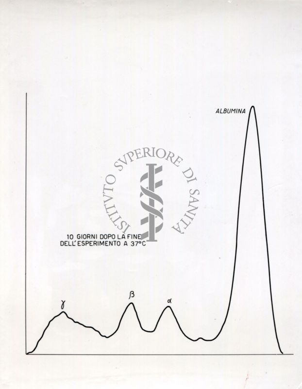 Grafico riguardante l'agglutinazione con siero attivo e siero non attivo