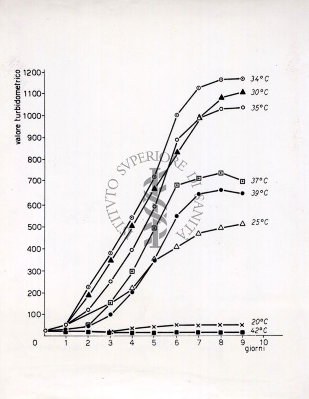 Curva di crescita a differenti temperature del Mycobacterium Marinum (microbatterio che si annida nelle piscine e negli acquari tropicali)