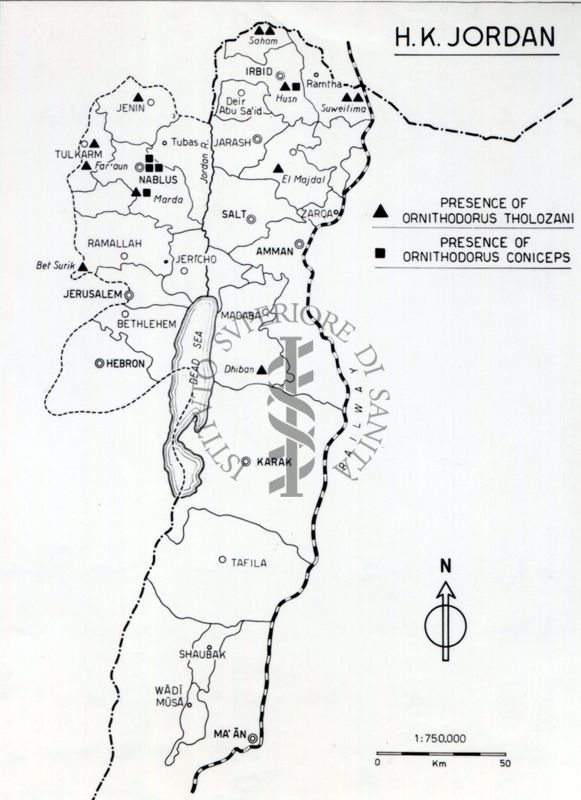 Diagramma riguardante l'andamento, in Giordania, della Rickettsia (batterio che causa un insolito tipo di malattie quali: febbre purpurica delle montagne rocciose, tipo epidemico). I batteri delle Rickettsie vivono e si moltiplicano all'interno delle cellule di un altro organismo (ospite).