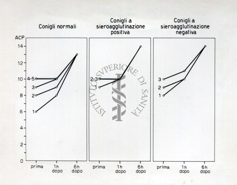 Grafico riguardante l'influenza del cortisone e dell'ACTH  nella infezione da leptospire