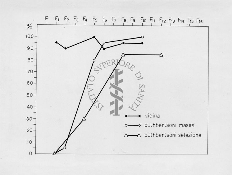 Grafico riguardante l'evoluzione di musca domestca cuthbertsoni in laboratorio