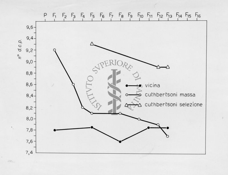 Grafico riguardante l'evoluzione di musca domestca cuthbertsoni in laboratorio