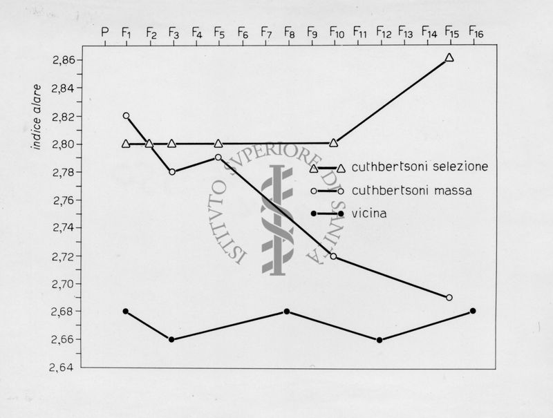 Grafico riguardante l'evoluzione di musca domestca cuthbertsoni in laboratorio