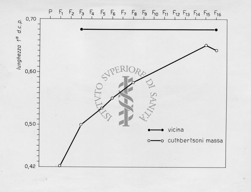 Grafico riguardante l'evoluzione di musca domestca cuthbertsoni in laboratorio