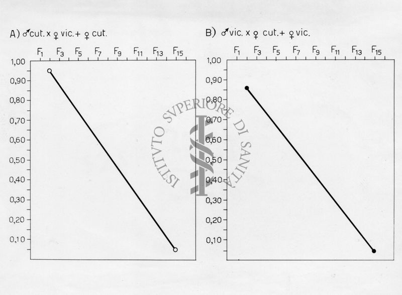 Grafico riguardante l'evoluzione di musca domestca cuthbertsoni in laboratorio