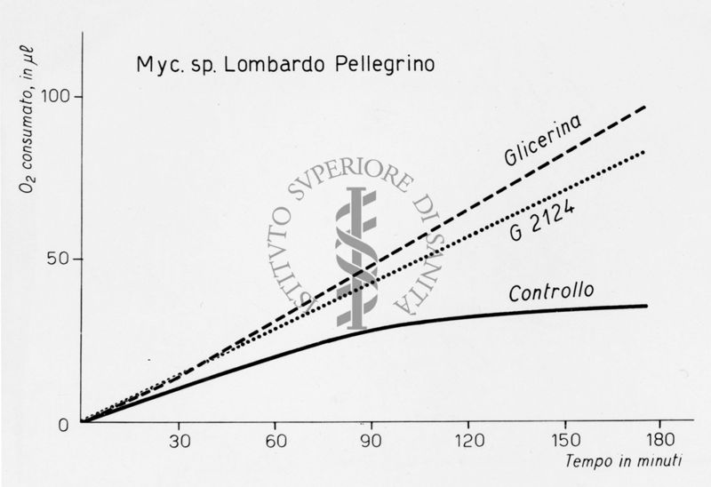 Consumo di 02 misurato al Warburg. I Warburg sono una importante famiglia di ebrei statunitensi di origine tedesca noti per attività in botanica e biochimica.