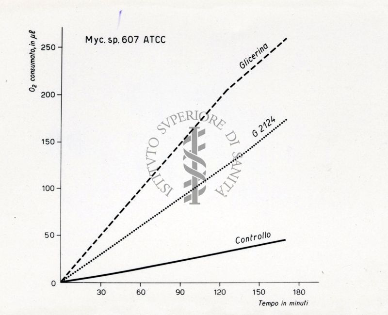 Consumo di 02 misurato al Warburg. I Warburg sono una importante famiglia di ebrei statunitensi di origine tedesca noti per attività in botanica e biochimica.